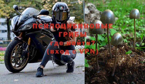 эйфоретик Щигры