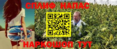 ГАЛЛЮЦИНОГЕННЫЕ ГРИБЫ Канаш