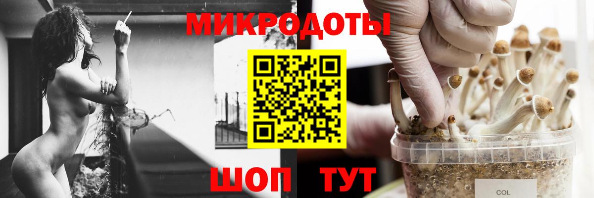 Псилоцибиновые грибы прущие грибы  Вход с VPN  Кстово 